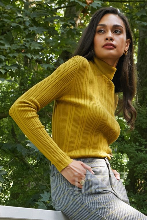 Sweater CARILYN WS - AAI200011 curry