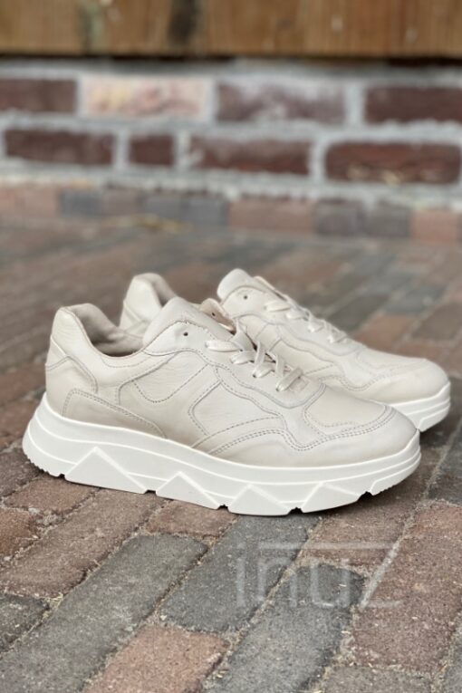 Sneaker bone allover - TAN210001  offwhite