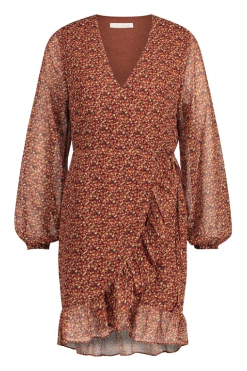 Mini jurk Rosy LS - FRE210003 bruin - Afbeelding 4