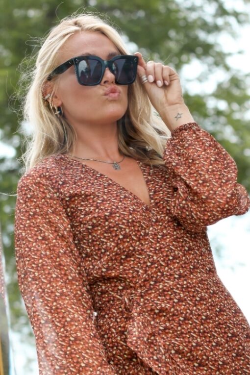 Mini jurk Rosy LS - FRE210003 bruin - Afbeelding 3