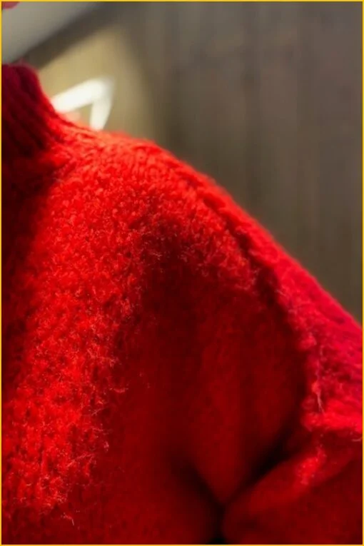 Inuz - Trui Sigrid - INU220196 rood - Afbeelding 2