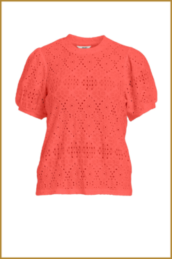 OBJECT - Objfeodora s top noos OBJ230037 koraal
