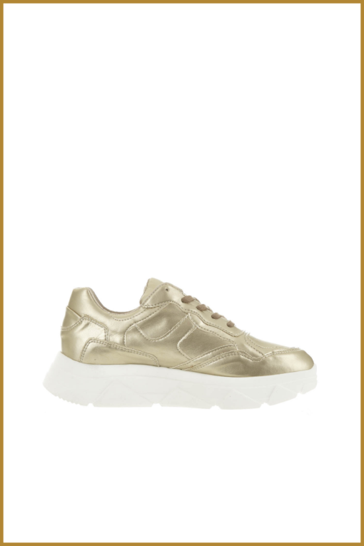 TANGO -  Kady fat 10-dq gold - TAN230006