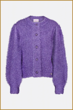Alternative view of FABIENNE CHAPOT - Kitty cardigan eggplant - FAB230064