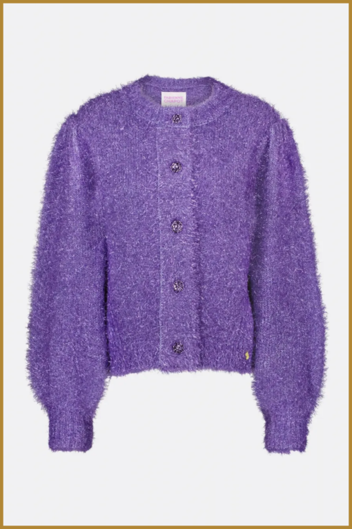 FABIENNE CHAPOT - Kitty cardigan eggplant - FAB230064 - Afbeelding 2
