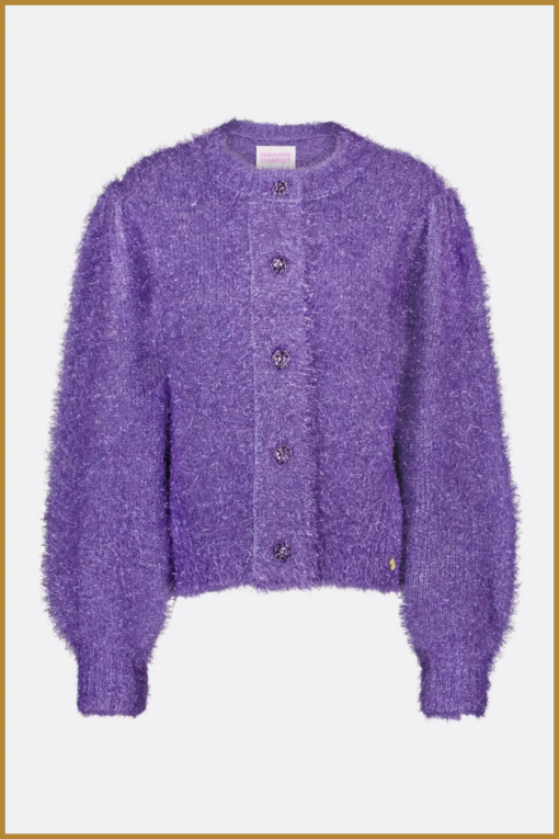 FABIENNE CHAPOT - Kitty cardigan eggplant - FAB230064