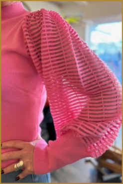 Alternative view of INUZ - Trui Janny rose- INU240025