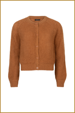 YDENCE -  Carigan Lotta camel -YDE240051