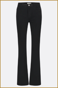 Alternative view of FABIENNE CHAPOT - Eva flair black -FAB240084