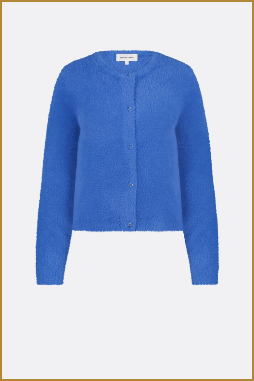 FABIENNE CHAPOT - Kate cardigan -Bright blue - Afbeelding 2