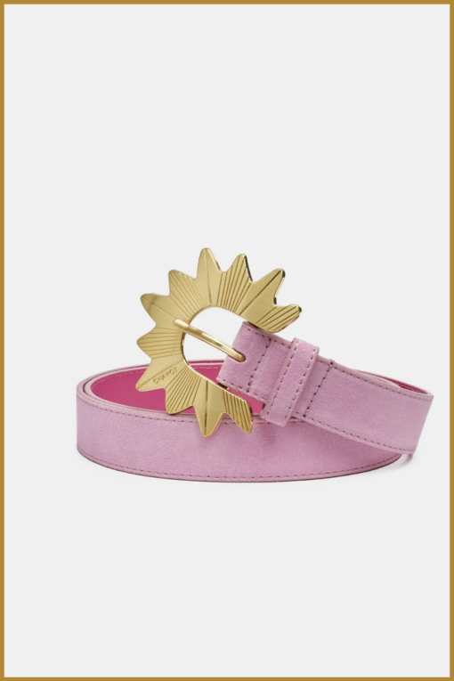 FABIENNE CHAPOT - Big sun belt rose-FAB250036
