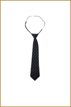 CO COUTURE-  NilaCC Stripe Tie blauw-COC250004