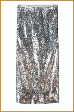 Alternative view of POM- SKIRT - Sequins Silver grijs-POM250087