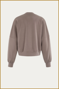 Alternative view of MSCW- 66-04-Again bruin-MOS250069