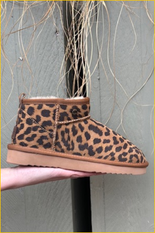 INUZ-Durack panter chesnut-INU250317 INUZ-Durack panter chesnut-INU250317