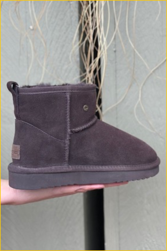 INUZ-Wallaby choco-INU250319 INUZ-Wallaby choco-INU250319