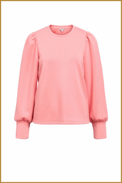 Alternative view of OBJECT- OBJANDREA lantana-OBJ260001