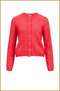 Alternative view of OBJECT- OBJAGATE L/S pointsetta-OBJ260002